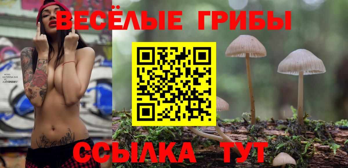 Псков  Псилоцибиновые грибы Cubensis  Вход с VPN  Галлюциногенные грибы Psilocybine cubensis 
